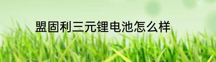 盟固利三元锂电池怎么样
