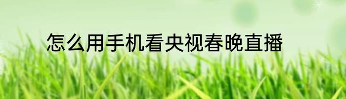 怎么用手机看央视春晚直播