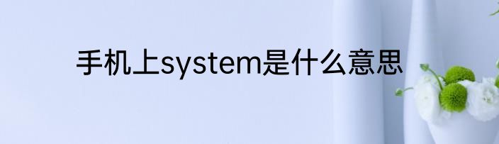 手机上system是什么意思