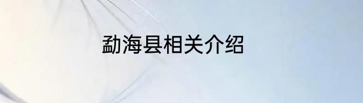 勐海县相关介绍