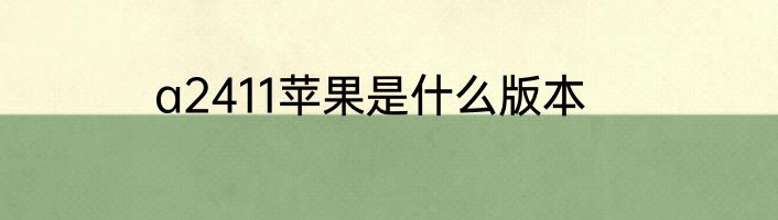 a2411苹果是什么版本