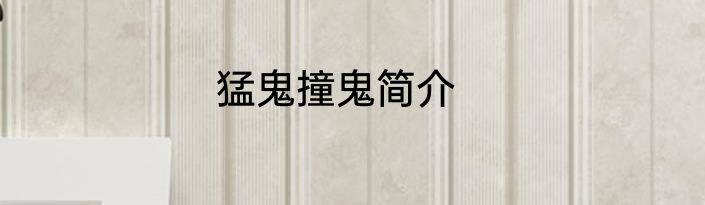 猛鬼撞鬼简介