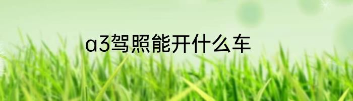 a3驾照能开什么车