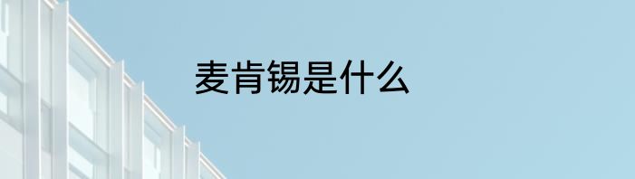 麦肯锡是什么
