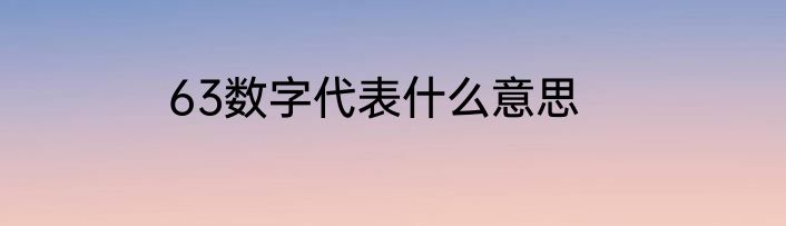 63数字代表什么意思