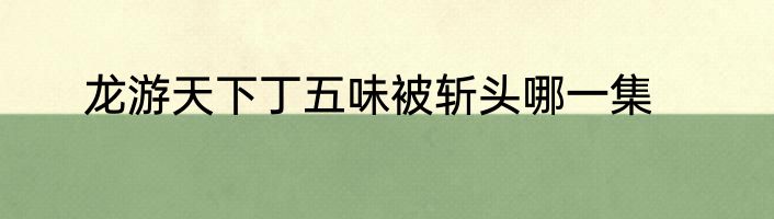 龙游天下丁五味被斩头哪一集