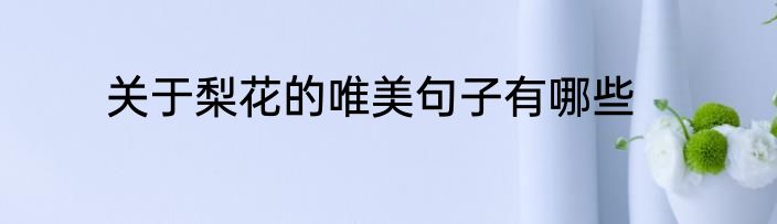 关于梨花的唯美句子有哪些
