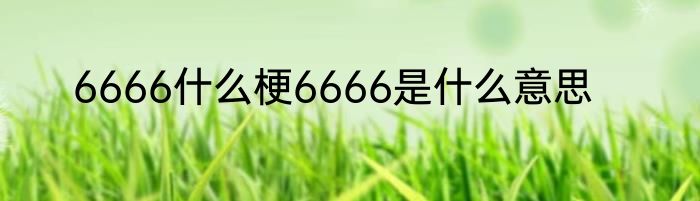 6666什么梗6666是什么意思