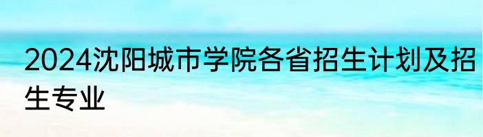 2024沈阳城市学院各省招生计划及招生专业