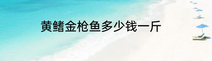 黄鳍金枪鱼多少钱一斤