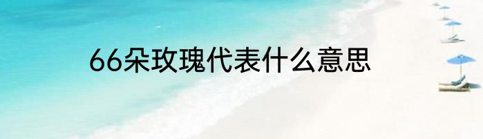 66朵玫瑰代表什么意思