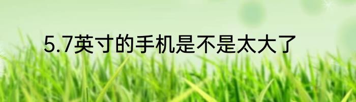 5.7英寸的手机是不是太大了