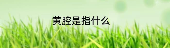 黄腔是指什么