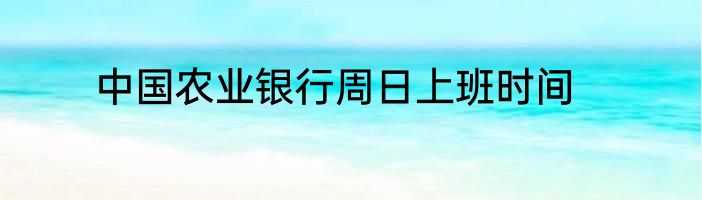 中国农业银行周日上班时间