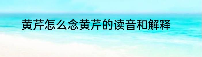 黄芹怎么念黄芹的读音和解释