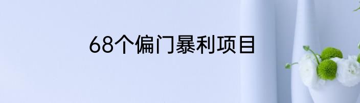 68个偏门暴利项目