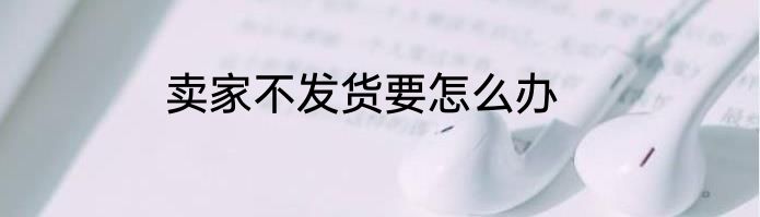 卖家不发货要怎么办