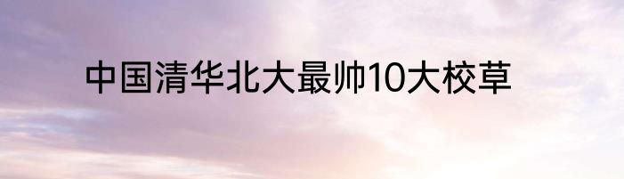 中国清华北大最帅10大校草