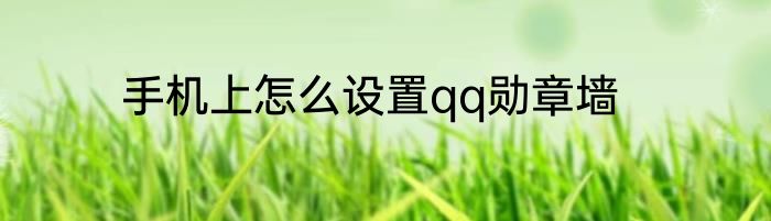 手机上怎么设置qq勋章墙