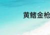 黄鳍金枪鱼多少钱一斤