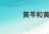 黄芩和黄芪有什么区别