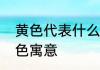 黄色代表什么颜色寓意黄色代表的颜色寓意