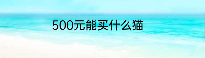 500元能买什么猫