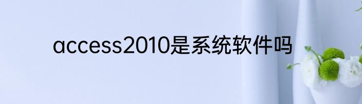 access2010是系统软件吗