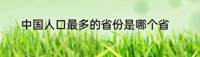 中国人口最多的省份是哪个省