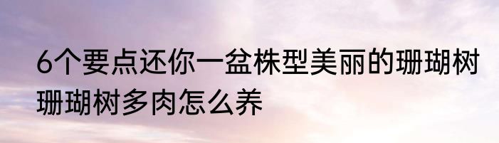 6个要点还你一盆株型美丽的珊瑚树珊瑚树多肉怎么养