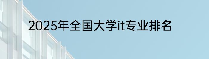 2025年全国大学it专业排名