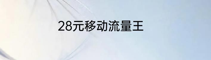 28元移动流量王