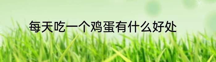 每天吃一个鸡蛋有什么好处