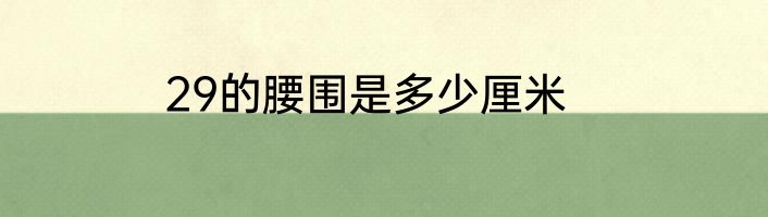 29的腰围是多少厘米