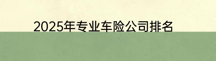 2025年专业车险公司排名