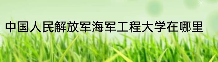 中国人民解放军海军工程大学在哪里