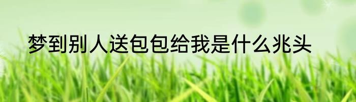 梦到别人送包包给我是什么兆头