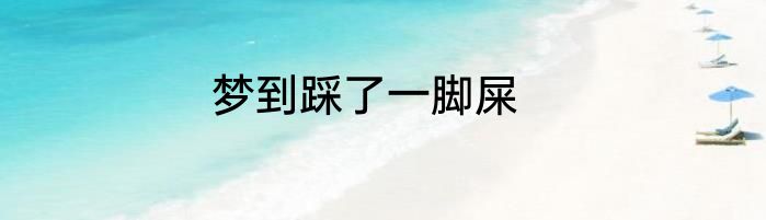 梦到踩了一脚屎