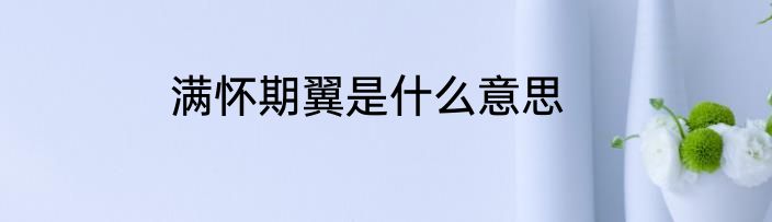满怀期翼是什么意思