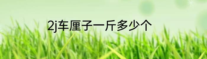 2j车厘子一斤多少个