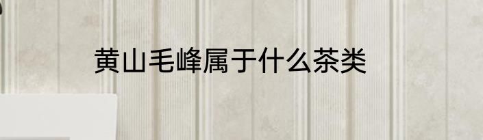 黄山毛峰属于什么茶类