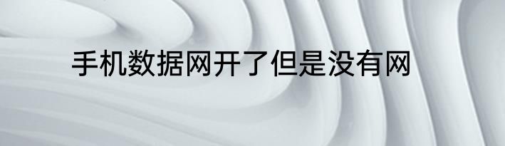 手机数据网开了但是没有网