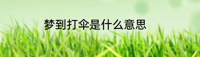 梦到打伞是什么意思