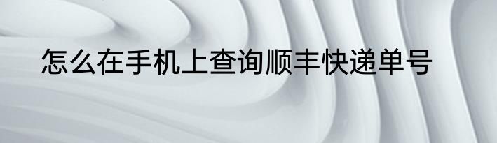 怎么在手机上查询顺丰快递单号