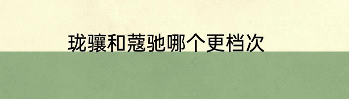 珑骧和蔻驰哪个更档次