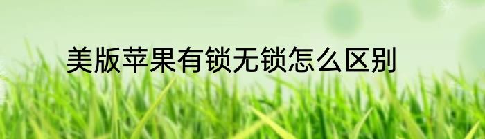 美版苹果有锁无锁怎么区别