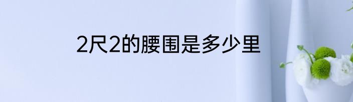 2尺2的腰围是多少里