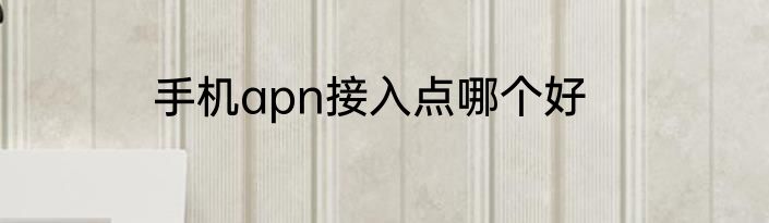 手机apn接入点哪个好