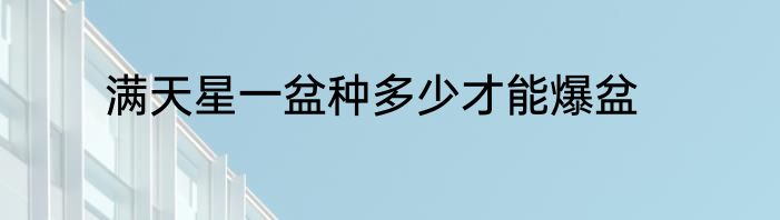 满天星一盆种多少才能爆盆