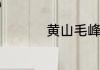 黄山毛峰属于什么茶类